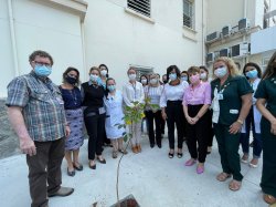 Emoção e homenagens marcam reunião do Grupo de Humanização da Santa Casa de Santos